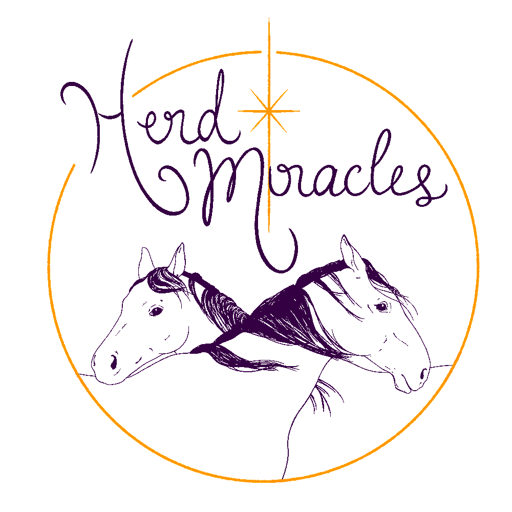 Herd Miracles